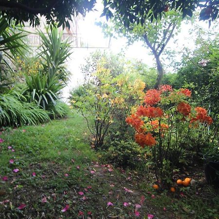 Il Giardino Delle Ortensie Apartment Salto Chiesa Exterior photo