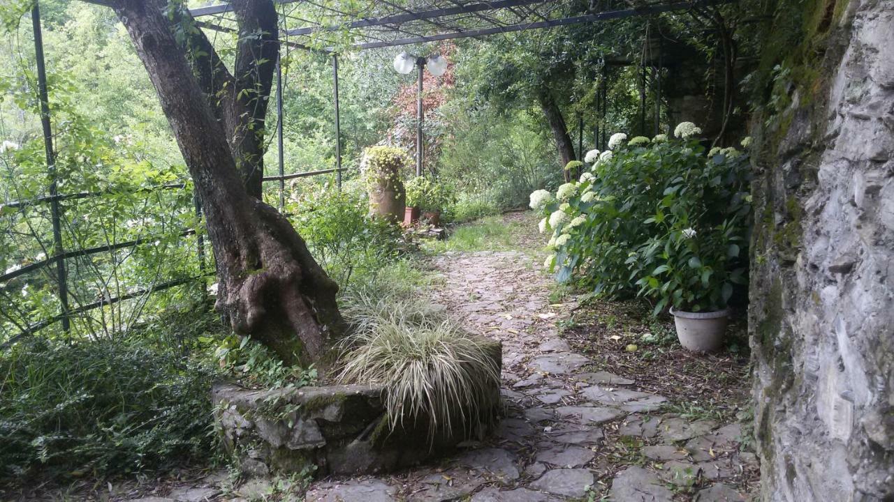 Il Giardino Delle Ortensie Apartment Salto Chiesa Exterior photo